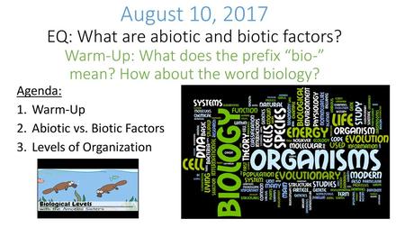 Agenda: Warm-Up Abiotic vs. Biotic Factors Levels of Organization