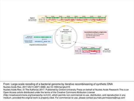 Figure 1. Accumulated recoding covering 200 kb of the S