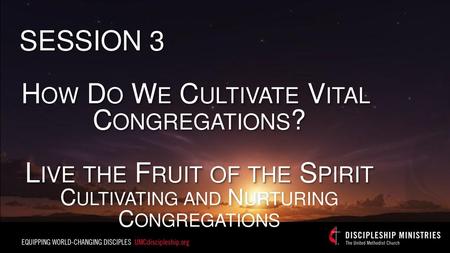 How Do We Cultivate Vital Congregations? Live the Fruit of the Spirit