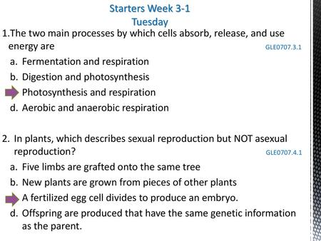 Starters Week 3-1 Tuesday