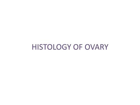 HISTOLOGY OF OVARY.