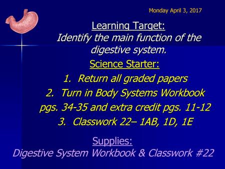 Learning Target: Identify the main function of the digestive system.