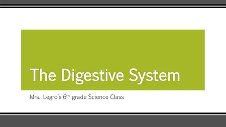 Mrs. Legro’s 6th grade Science Class