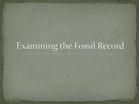 Examining the Fossil Record