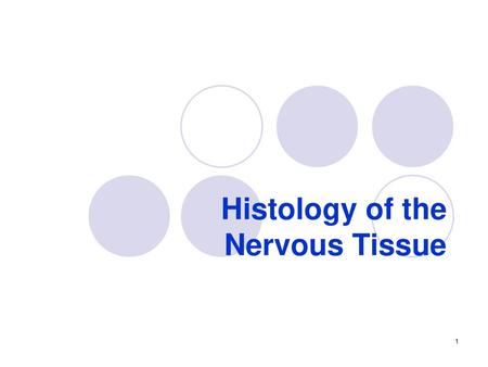 Histology of the Nervous Tissue