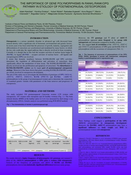 THE IMPORTANCE OF GENE POLYMORPHISMS IN RANKL/RANK/OPG PATHWAY IN ETIOLOGY OF POSTMENOPAUSAL OSTEOPOROSIS Adam Kamiński1, Karolina Dziekan1, Hubert Wolski2,