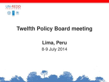 Twelfth Policy Board meeting Lima, Peru 8-9 July 2014