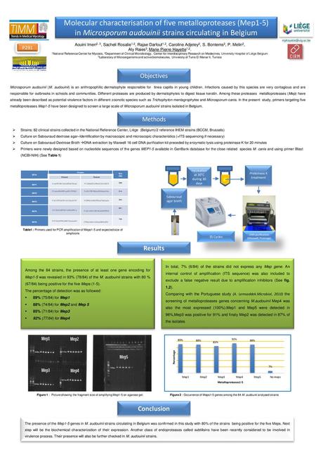 Molecular characterisation of five metalloproteases (Mep1-5)