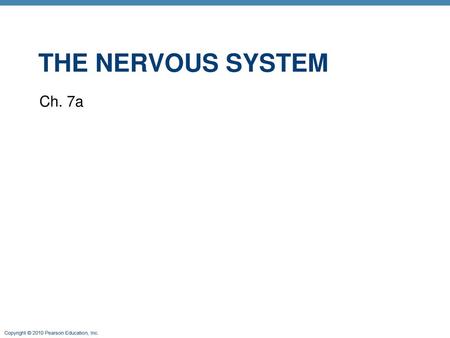 Ch. 7a The nervous system.