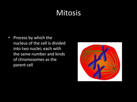 Mitosis Process by which the nucleus of the cell is divided into two nuclei; each with the same number and kinds of chromosomes as the parent cell.