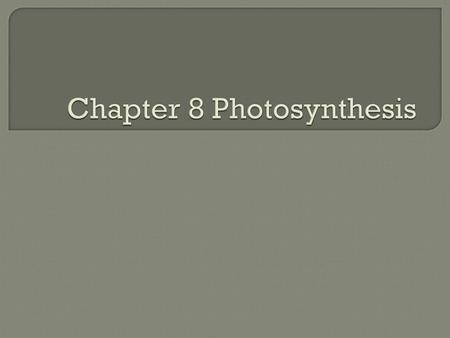 Chapter 8 Photosynthesis