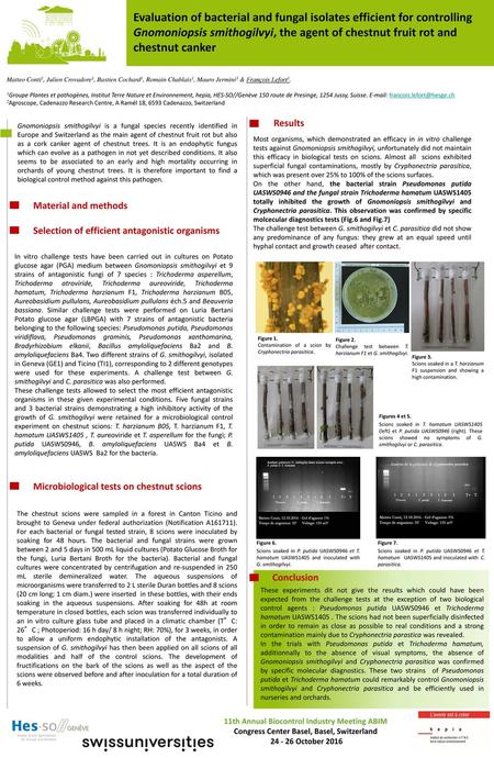 Evaluation of bacterial and fungal isolates efficient for controlling Gnomoniopsis smithogilvyi, the agent of chestnut fruit rot and chestnut canker Matteo.