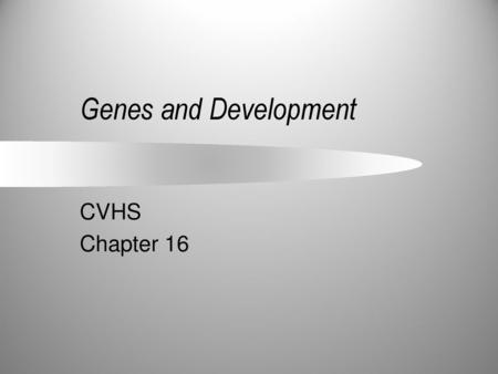 Genes and Development CVHS Chapter 16.