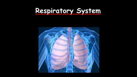 Respiratory System.