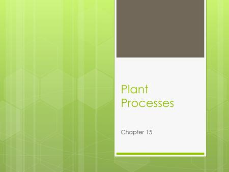 Plant Processes Chapter 15.