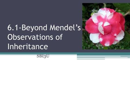 6.1-Beyond Mendel’s Observations of Inheritance