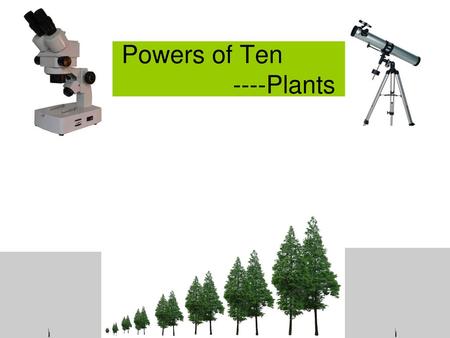 Powers of Ten ----Plants