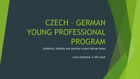 CZECH – GERMAN YOUNG PROFESSIONAL PROGRAM