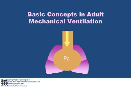 Basic Concepts in Adult Mechanical Ventilation