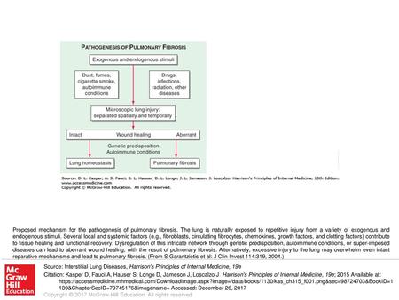 Proposed mechanism for the pathogenesis of pulmonary fibrosis