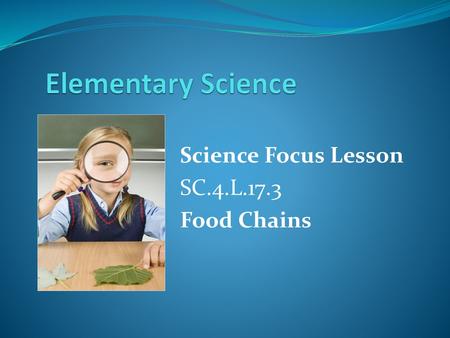 Science Focus Lesson SC.4.L.17.3 Food Chains