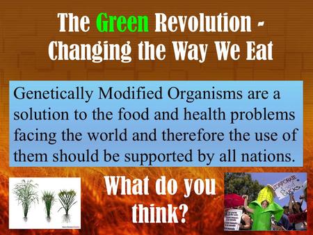 The Green Revolution - Changing the Way We Eat