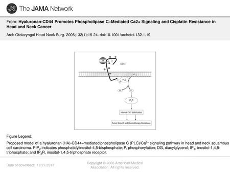 Copyright © 2006 American Medical Association. All rights reserved.