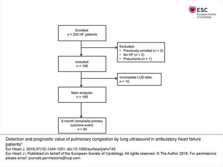 Figure 1 Study flow chart