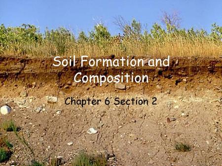 Soil Formation and Composition