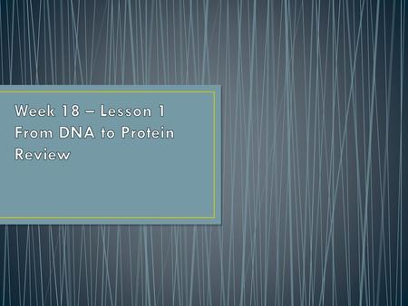 Week 18 – Lesson 1 From DNA to Protein Review