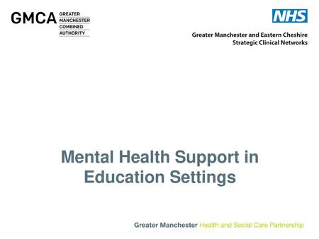 Mental Health Support in Education Settings