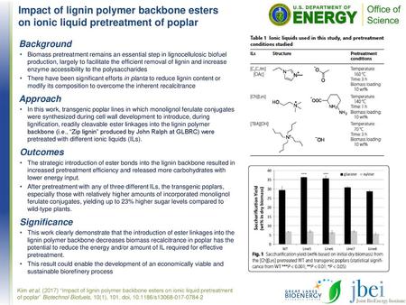 Impact of lignin polymer backbone esters on ionic liquid pretreatment of poplar Background Biomass pretreatment remains an essential step in lignocellulosic.