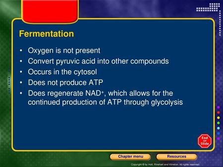 Fermentation Oxygen is not present