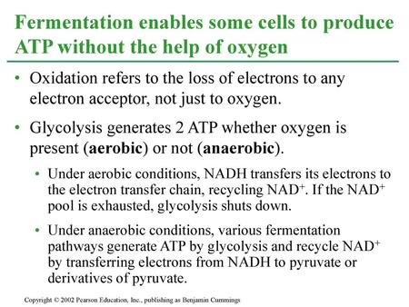 Fermentation enables some cells to produce ATP without the help of oxygen Oxidation refers to the loss of electrons to any electron acceptor, not just.