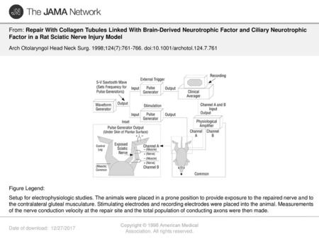 Copyright © 1998 American Medical Association. All rights reserved.