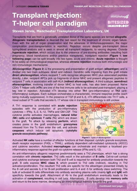 Transplant rejection: T-helper cell paradigm