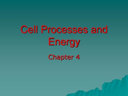 Cell Processes and Energy