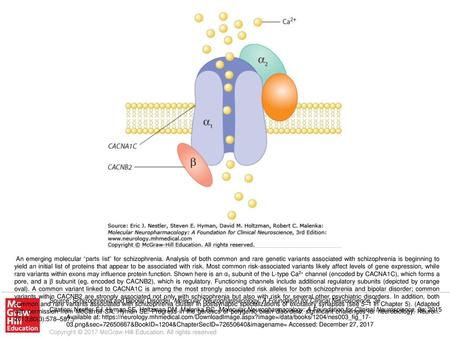 An emerging molecular “parts list” for schizophrenia