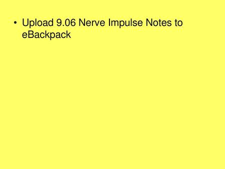 Upload 9.06 Nerve Impulse Notes to eBackpack