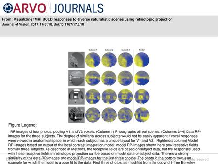 Journal of Vision. 2017;17(6):18. doi: / Figure Legend: