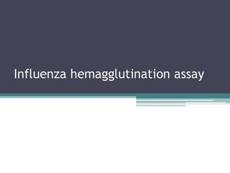 Influenza hemagglutination assay