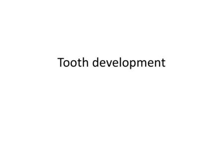 Tooth development.