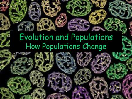 Evolution and Populations How Populations Change