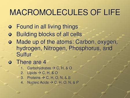 MACROMOLECULES OF LIFE