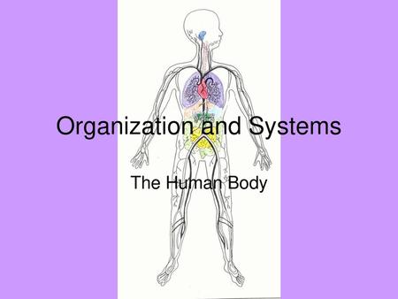 Organization and Systems