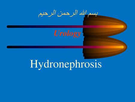 بسم الله الرحمن الرحيم Urology