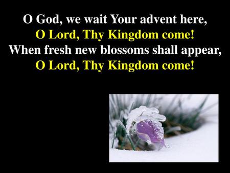 O God, we wait Your advent here, O Lord, Thy Kingdom come