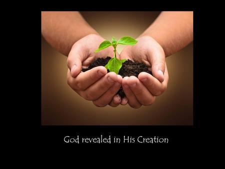 God revealed in His Creation