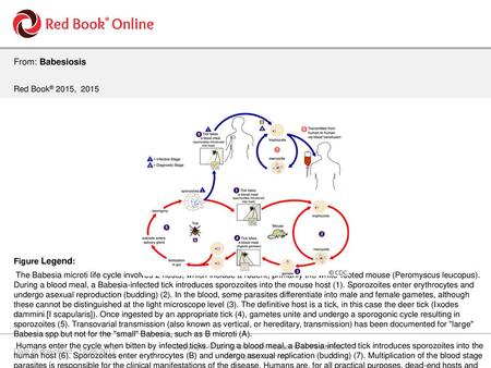 Copyright © 2017 American Academy of Pediatrics.