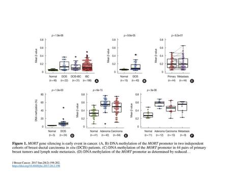 Figure 1. MORT gene silencing is early event in cancer